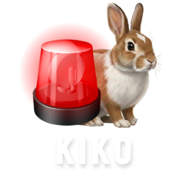 Kiko Security